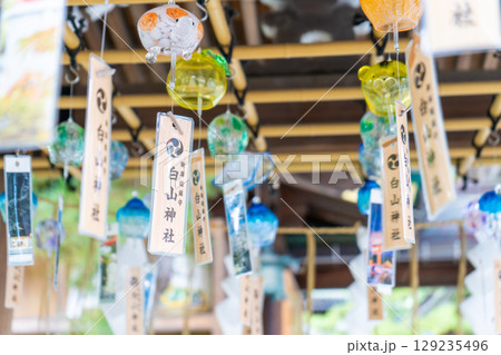 新潟県新潟市　白山神社 129235496