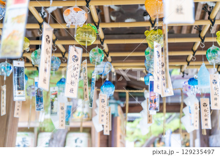 新潟県新潟市　白山神社 129235497