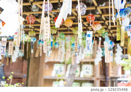 新潟県新潟市　白山神社 129235498