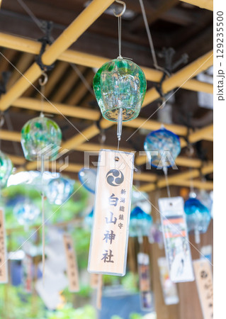 新潟県新潟市　白山神社 129235500