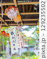新潟県新潟市　白山神社 129235502