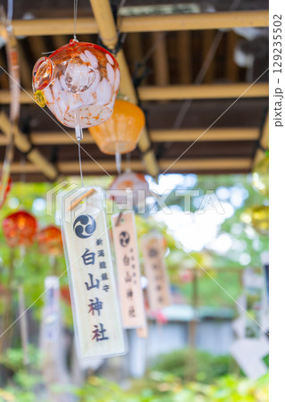 新潟県新潟市　白山神社 129235502