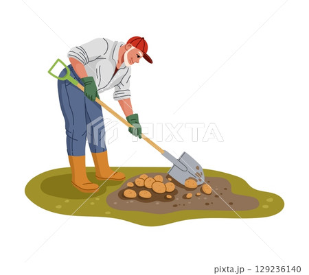 Farmer and gardener character digging potatoes from soil with a shovel, wearing gloves, boots and red cap. Cartoon flat vector male personage showing agricultural labor, harvesting and rural lifestyle 129236140