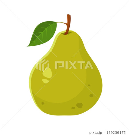 Cartoon raw ripe green pear fruit with subtle...のイラスト素材 [129236175] - PIXTA