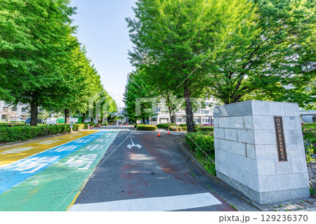 群馬県前橋市　群馬大学医学部附属病院 129236370