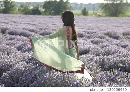 Graceful Indian Woman DGraceful Indian Woman Draped in Traditional Sareeraped in Traditional Saree 129236480