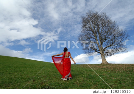 Graceful Indian Woman DGraceful Indian Woman Draped in Traditional Sareeraped in Traditional Saree 129236510