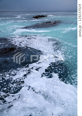 群来①(北海道) 群来①(北海道) 129237024