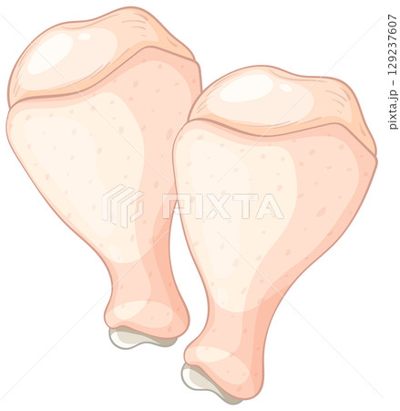 Realistic Vector Illustration of Raw Chicken Drumsticks Realistic Vector Illustration of Raw Chicken Drumsticks 129237607