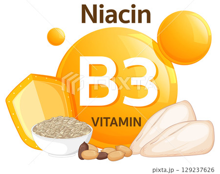 Vitamin B3 Niacin Sources with Food Illustration Vitamin B3 Niacin Sources with Food Illustration 129237626