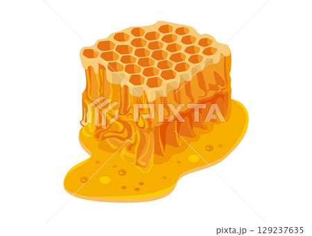Honeycomb and honey puddle isolated on white background stock illustration 129237635