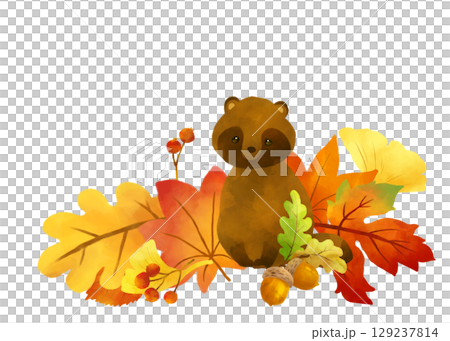 Watercolor autumn illustration of fallen leaves and a raccoon 129237814