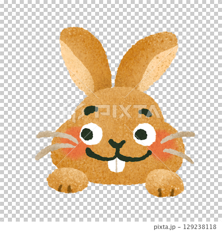 かわいいウサギの手描きイラスト素材 129238118