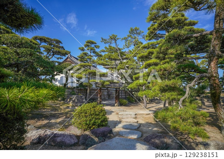 青空バックに見る飛び石と日本庭園のコラボ情景 青空バックに見る飛び石と日本庭園のコラボ情景 129238151