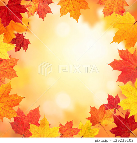 秋の紅葉の壁紙 129239102