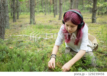 Young biologist picking wild berries in forest while listening to music Young biologist picking wild berries in forest while listening to music 129239456