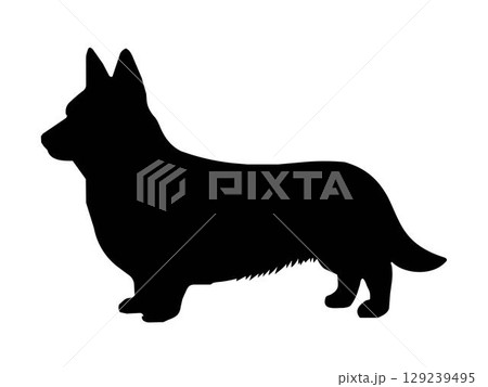 Corgi dog silhouette. Vector illustration silhouette of a Corgi dog on a white background. Pets Corgi dog silhouette. Vector illustration silhouette of a Corgi dog on a white background. Pets 129239495