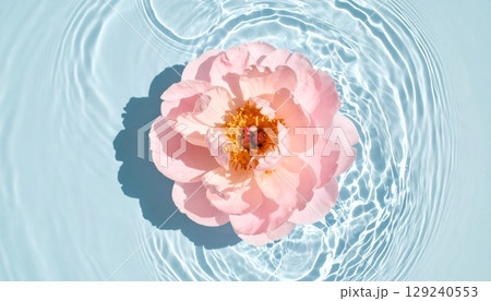 A beautiful water design with delicate pink peony petals captures the essence of love and nature A beautiful water design with delicate pink peony petals captures the essence of love and nature 129240553