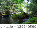 新緑の渓谷 129240590