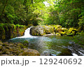 新緑の渓谷 129240692