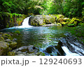 新緑の渓谷 129240693
