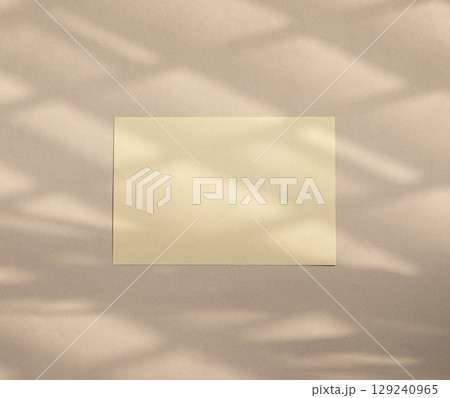Organic real photo taken card mockup natural diagonal light shadow window overlay plant silhouette 129240965