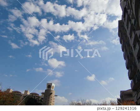 十一月の雲-42 十一月の雲-42 129241316