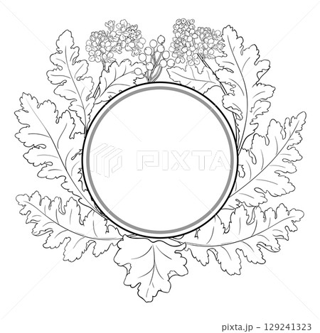 Crambe Plant Outline Round Frame. 129241323