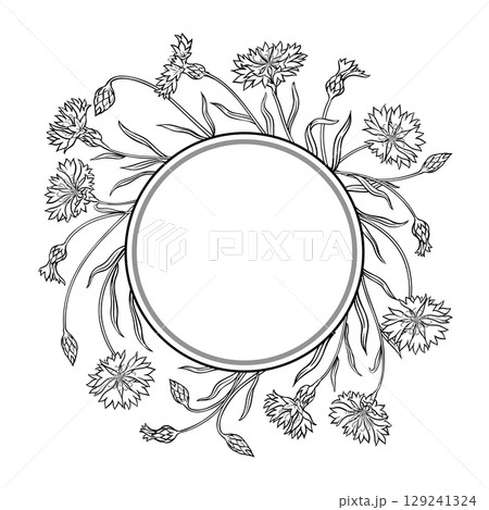 Corn Flower Outline Round Frame. 129241324