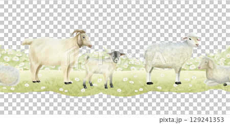 Goats with baby and white sheep watercolor seamless border isolated on white. Cute farm animals grazing on grass lawn in simple style and pastel colors for rural village designs and countryside scene 129241353