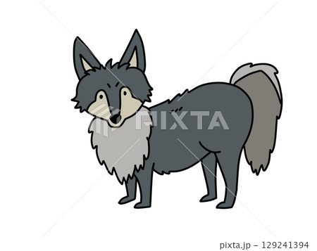 正面を向いた狼のイラスト 129241394