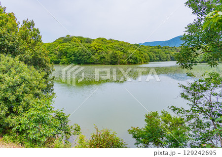 【福岡県】初夏の篠栗九大の森（ささぐりきゅうだいのもり）・水辺の森 129242695