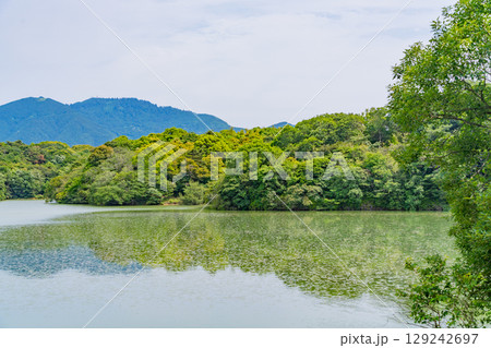 【福岡県】初夏の篠栗九大の森（ささぐりきゅうだいのもり）・水辺の森 129242697