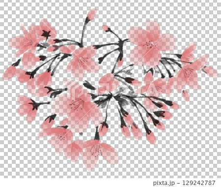 手描きの桜の花の水墨画 手描きの桜の花の水墨画 129242787