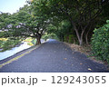 静岡県の下賀茂にある青野川沿いの緑多いきれいな散策路 129243055