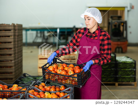 Young woman stacking crates full of tomatoes in warehouse 129244347