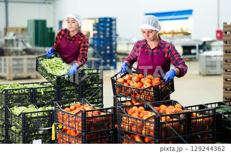 Portrait of two young women working at the vegetable depot 129244362