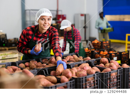 Cheerful girl checking quality and sorting potatoes in storehouse 129244486