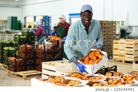 African american farmer puts crates of tomatoes on top of each other 129244491