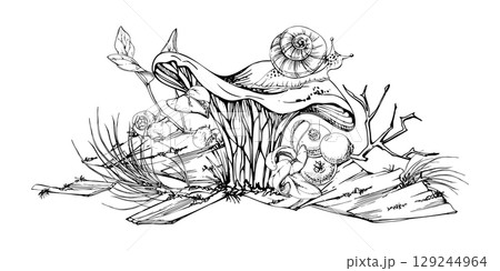 Golden chanterelle girolle mushroom with snail, blackberry cranberry twigs, pine needles, bark moss lichen growth. Fungus nature illustration hand drawn in vector ink. Autumn forest woodland harvest 129244964