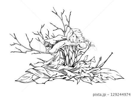 Golden chanterelle girolle mushroom fungus on top of fallen autumn leaves pile with twigs, branches. Fungi nature illustration hand drawn in vector ink. Forest woodland floor habitat ecosystem scene. Golden chanterelle girolle mushroom fungus on top of fallen autumn leaves pile with twigs, branches. Fungi nature illustration hand drawn in vector ink. Forest woodland floor habitat ecosystem scene. 129244974