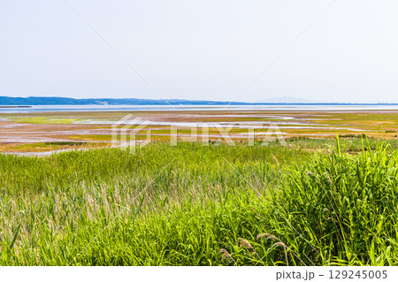 【北海道_網走市】能取岬と能取湖畔 6月 7月　能取湖河口 129245005