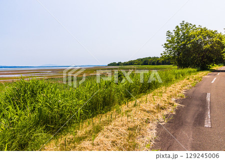 【北海道_網走市】能取岬と能取湖畔 6月 7月　能取湖河口 129245006