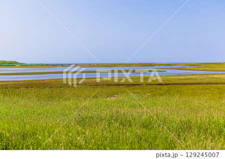 【北海道_網走市】能取岬と能取湖畔 6月 7月　能取湖河口 129245007