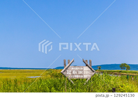 【北海道_網走市】能取岬と能取湖畔 6月 7月 【北海道_網走市】能取岬と能取湖畔 6月 7月 129245130