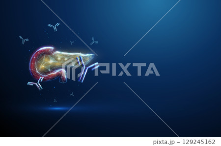 Human pancreas with flying antibodies. Concept of autoimmune pancreatitis, type 1 diabetes, immunotherapy, monoclonal antibody treatment 129245162