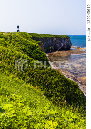 【北海道_網走市】能取岬と能取湖畔 6月 7月 129245619