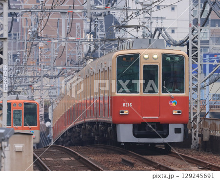阪神 野田駅付近を走る8000系電車 阪神 野田駅付近を走る8000系電車 129245691