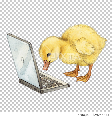 The cutest animals in the world Sitting on a Laptop Watercolor White Background The cutest animals in the world Sitting on a Laptop Watercolor White Background 129245873