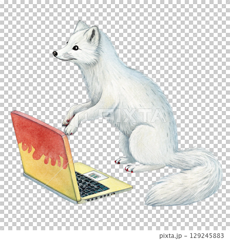 The cutest animals in the world Sitting on a Laptop Watercolor White Background The cutest animals in the world Sitting on a Laptop Watercolor White Background 129245883